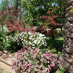 Elianti Bed & Breakfast Mattinata