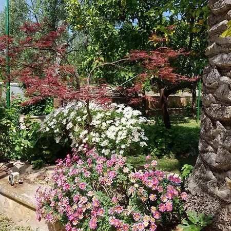 Elianti לינה וארוחת בוקר מאטינאטה