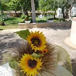 Elianti