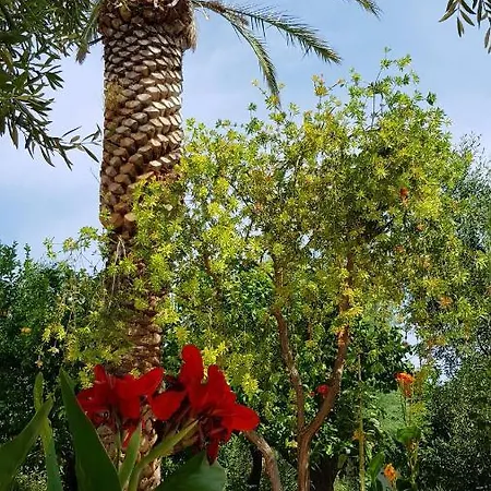 Elianti Mattinata