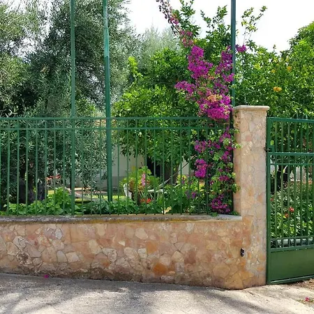 Elianti 3* Маттината