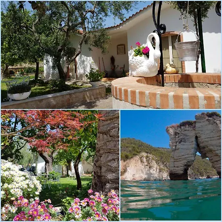 Bed & Breakfast Elianti Mattinata