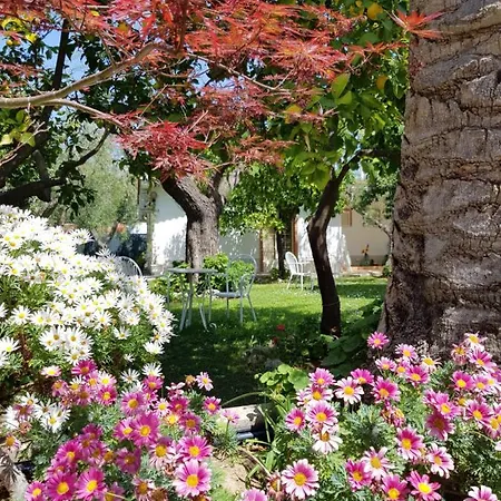 Elianti Panzió Mattinata