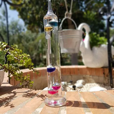 Elianti Маттината