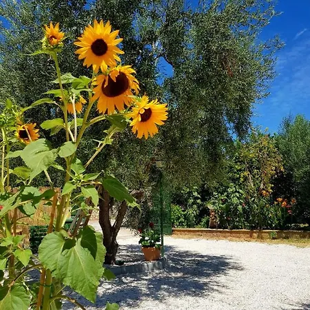 Elianti Отель типа 