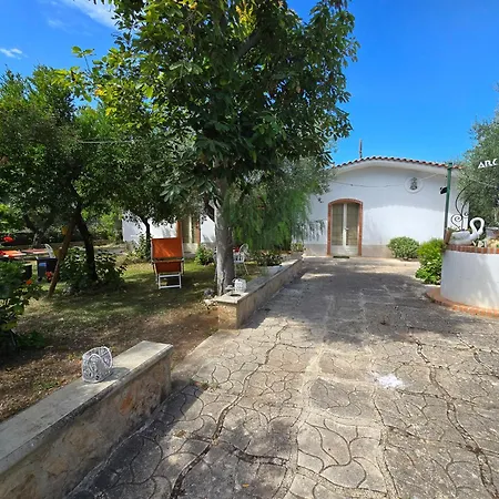 Elianti 3* Маттината