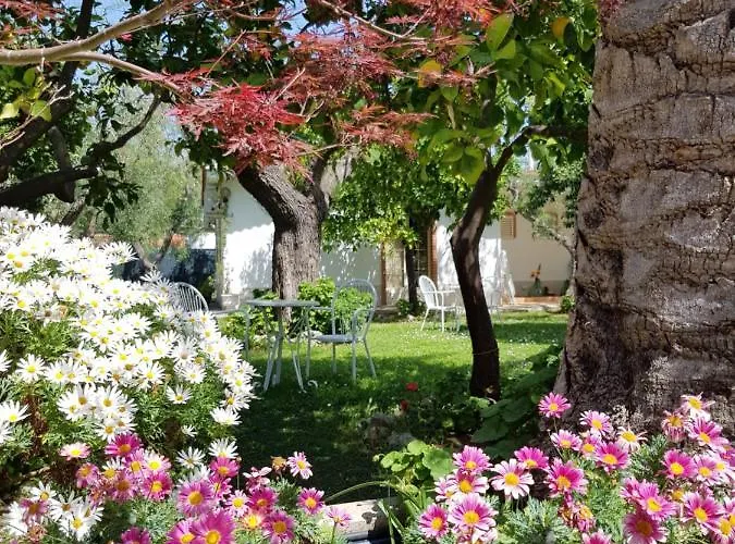 Elianti לינה וארוחת בוקר מאטינאטה