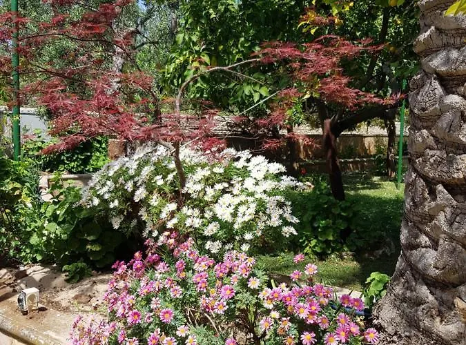 Elianti לינה וארוחת בוקר מאטינאטה