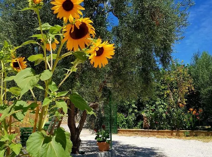 Elianti לינה וארוחת בוקר 3*